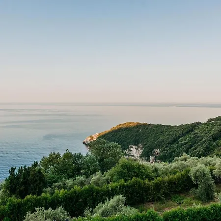 Elysian Luxury Pelion ヴィラ